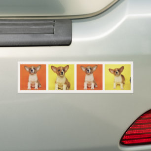 Custom 4 Photo Collage Your Pet Dog Picture On Bumper Sticker