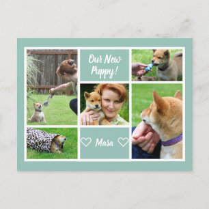 Custom 5 Photo Collage Family Pet Announcement Postcard