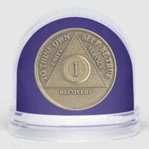 CUSTOM A Miracle Happened and 1 Year Sober AA Coin Snowglobe