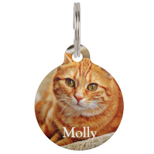 Custom add your favorite pet cat photo and details pet tag