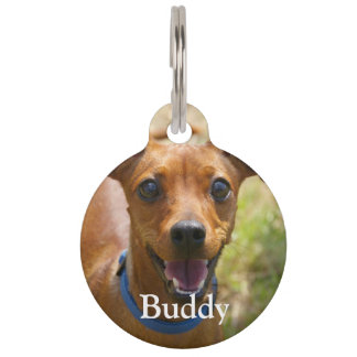 Custom add your favourite pet dog photo and detail pet tag
