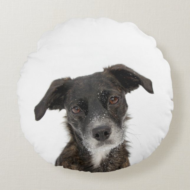 Custom add your own pet dog photo personalized round pillow (Front)