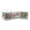 Custom Add Your Own Photos Photo in Frame Ribbon