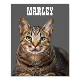 Custom and Personalized Pet Cat Photo Print