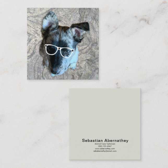 Custom Animal Care Profession Add Your Photo Square Business Card (Front/Back)