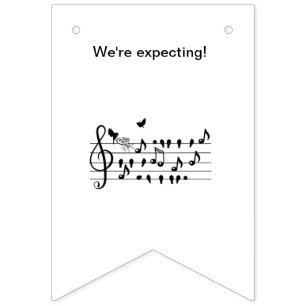 Custom Baby Shower Music Bird Notes Keepsake Bunting Flags