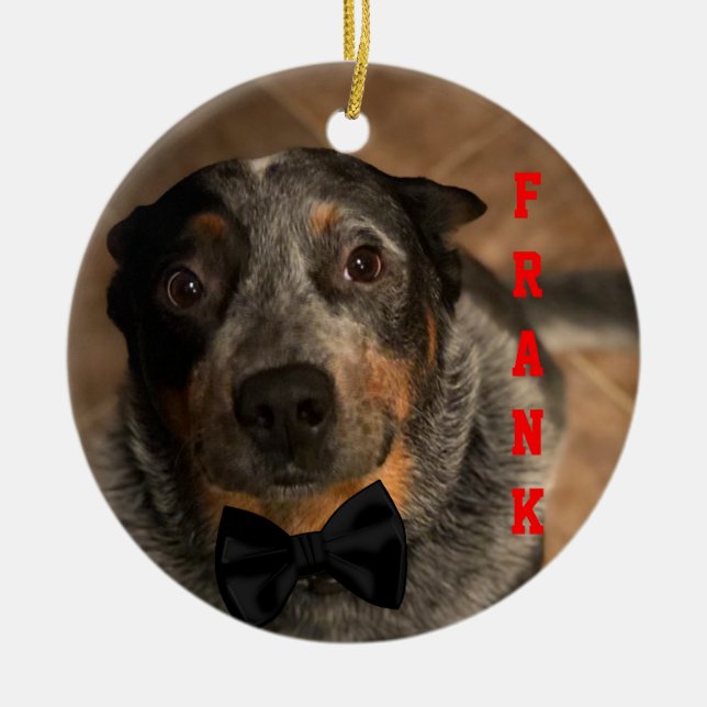 Custom Bandit Ceramic Ornament (Front)