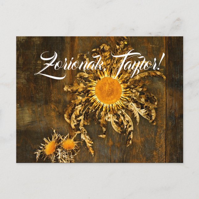 Custom, Basque symbol Eguzkilore or sun flower, Postcard (Front)