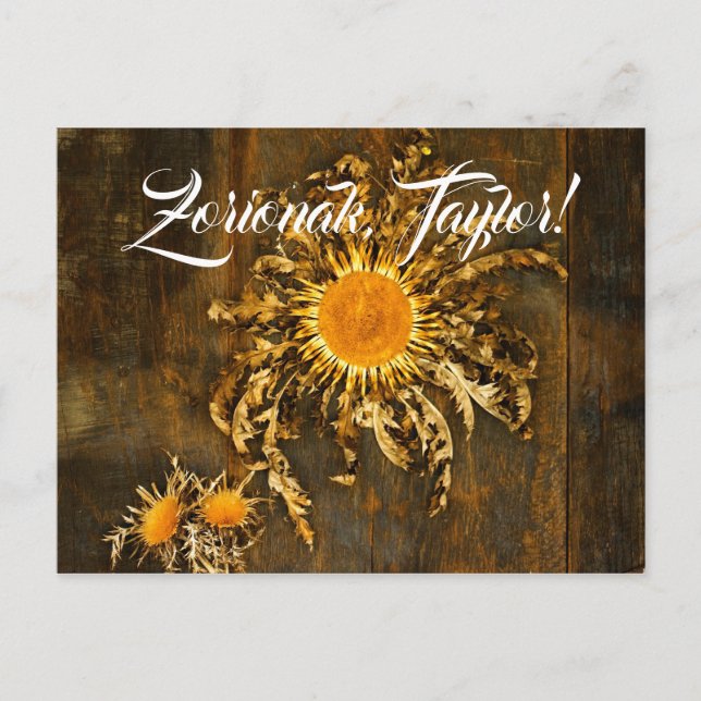 Custom, Basque symbol Eguzkilore or sun flower, Postcard (Front)