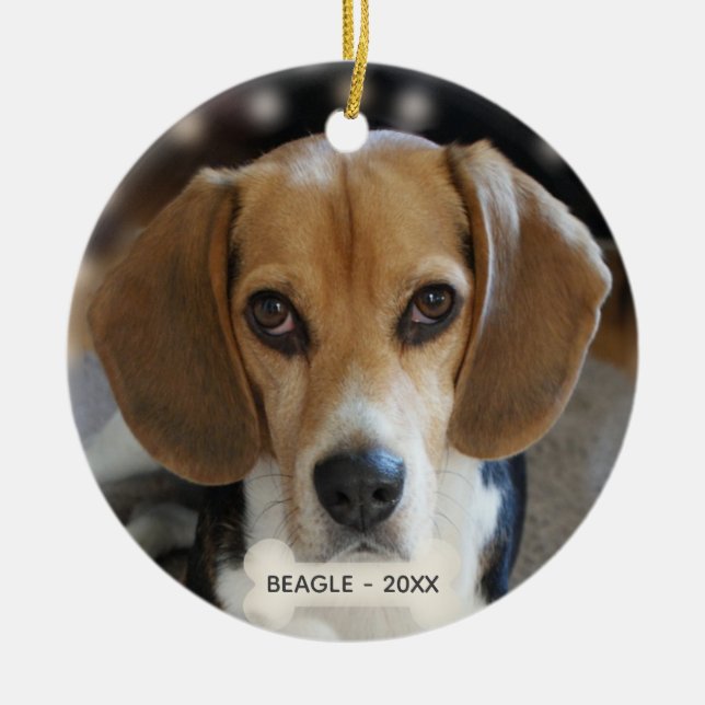 Custom Beagle Dog Photo Ceramic Ornament (Front)