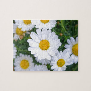 Custom Beautiful Spring Flowers - Daisy Jigsaw Puzzle