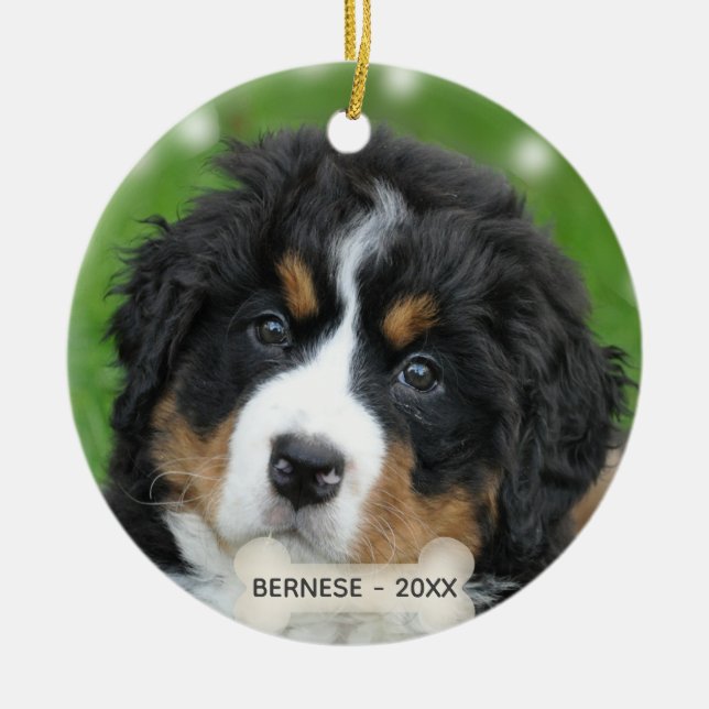 Custom Bernese Mountain Dog Photo Ceramic Ornament (Front)