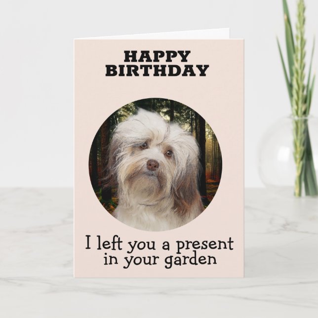 Custom Birthday Card from your havanese (Front)
