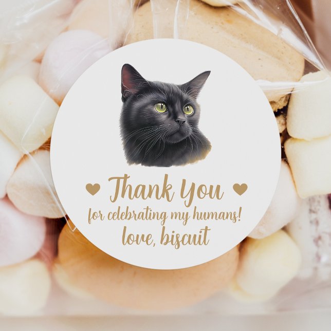 Custom Black Cat Wedding Favour Stickers (Creator Uploaded)