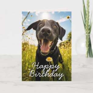 Custom Black Labrador Happy Birthday Card