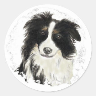 Custom Border Collie - Dog Collection Classic Round Sticker