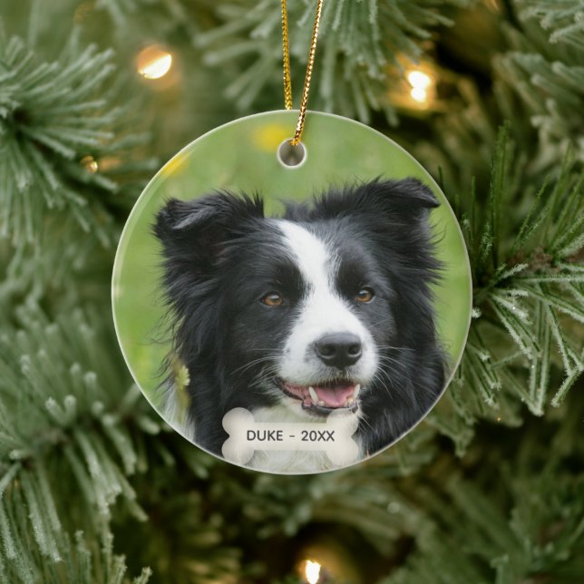 Custom Border Collie Dog Photo Ceramic Ornament (Tree)