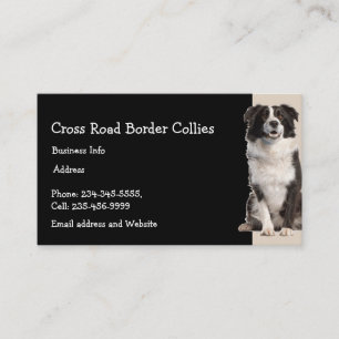 Custom Border Collies Dog Pet Animal Logo Business Card