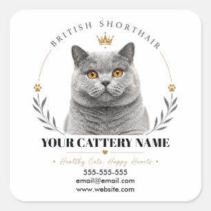 Custom British Shorthair Cattery Logo Contact  Square Sticker