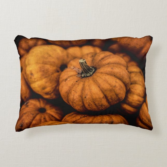 Custom Brushed Polyester Accent Pillow 16" x 12" (Front)