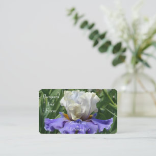 Custom Business Cards