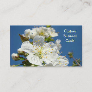 Custom Business Cards Cherry Blossoms Blue Sky