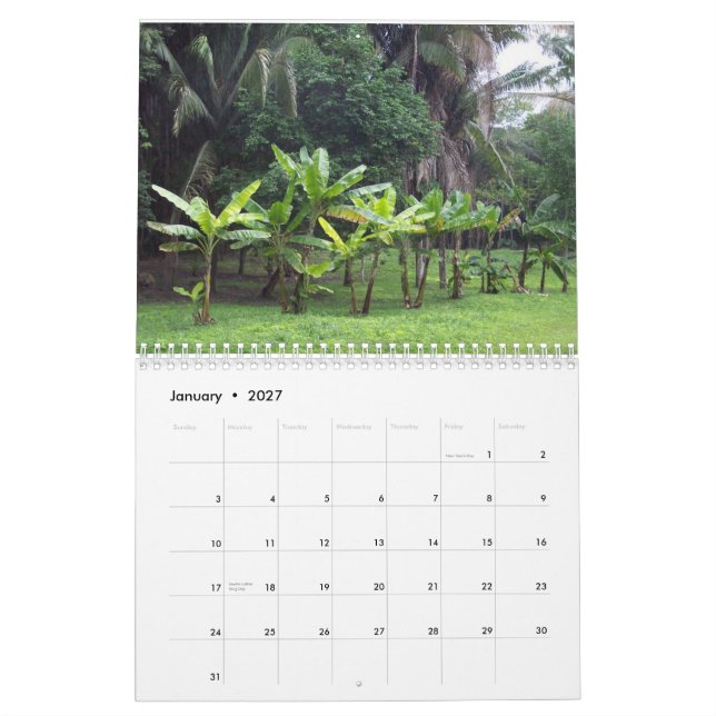 Custom Calendar featuring scenes from Belize. (Jan 2027)