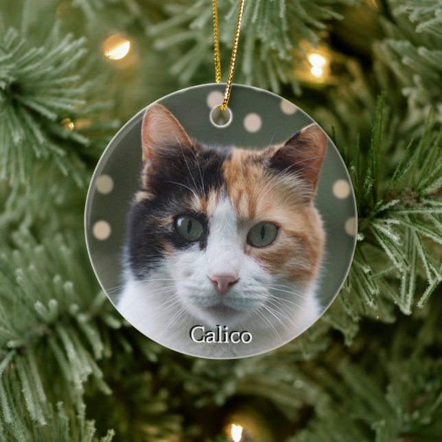 Custom Calico Cat Photo Personalized Ceramic Ornament (Tree)