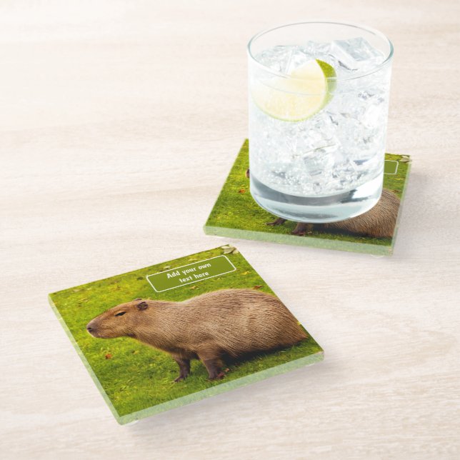 Custom Capybara Glass Coaster (Angled)