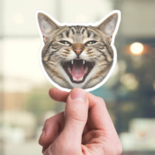 Custom Cat Face Sticker – Funny Personalized Photo