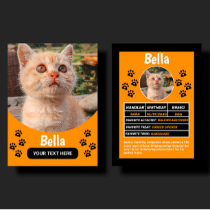 Custom Cat Pet Birthday & Gift Photo Trading Card
