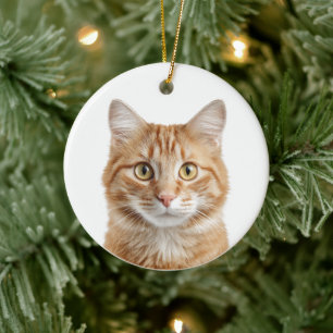 Custom Cat Photo Christmas Ornament