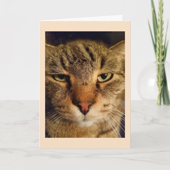 Custom Cat Photo Miss You Card (Front)