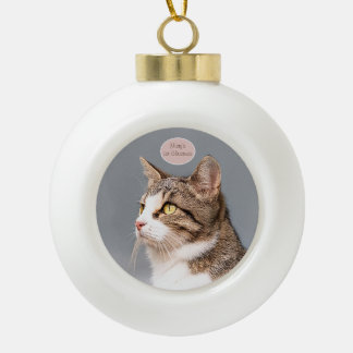 Custom Cat photo pet Ceramic Ball Christmas Ornament