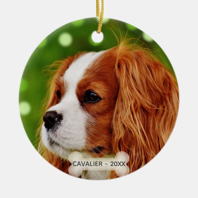 Custom Cavalier King Charles Spaniel Dog Photo Ceramic Ornament (Front)