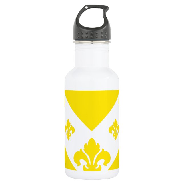 Custom Chevron 1 Yellow 532 Ml Water Bottle (Front)