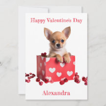 Custom Chihuahua Pup White Hearts on Box Valentine