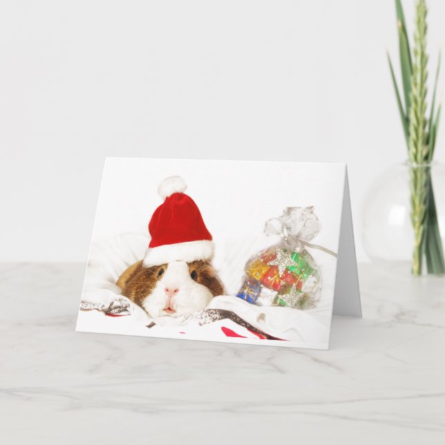 CUSTOM CHRISTMAS CARD GUINEE PIG WITH SANTA HAT (Front)