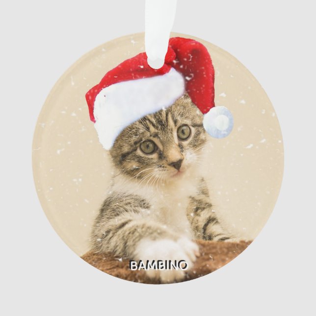 Custom Christmas Carol Cat Photo Personalized Ornament (Front)