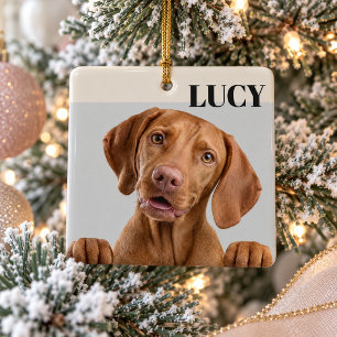 Custom Christmas Photo Ornament Dog & Name