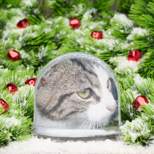 Custom Christmas snow globe with cute pet photo