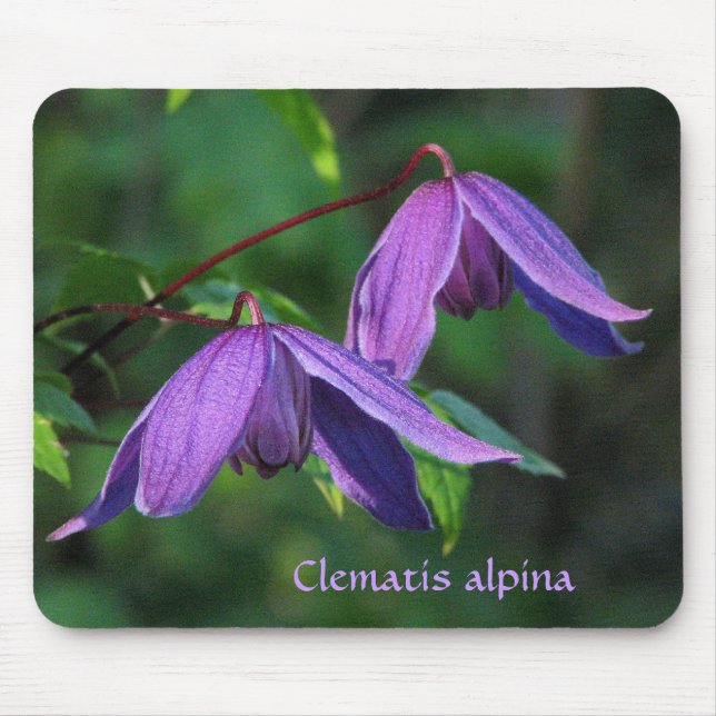 Custom Clematis Mousepad (Front)