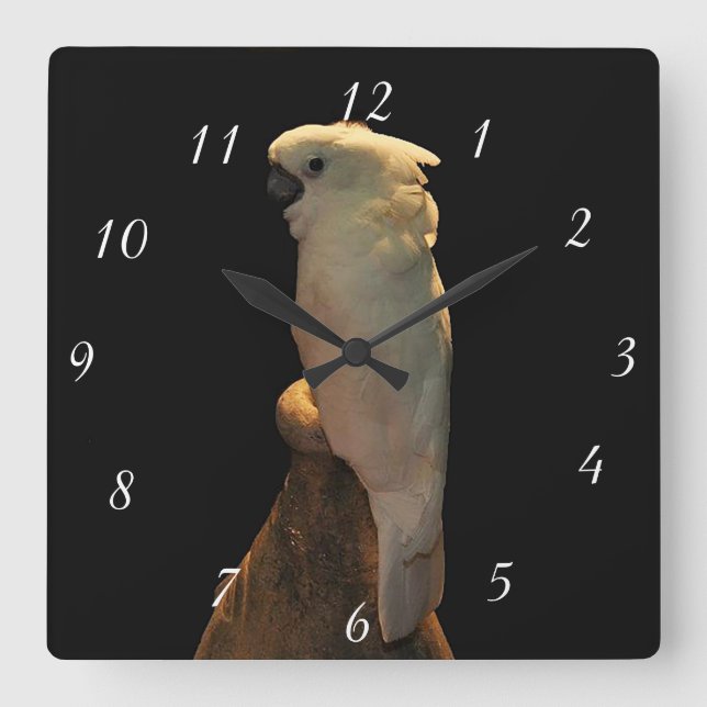 Custom cockatoo bird posing in the night square wall clock (Front)
