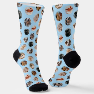 Custom Cute 8-Photo Pet Collage   Pastel Blue Socks