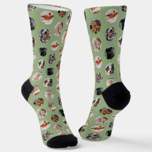 Custom Cute 8-Photo Pet Collage   Sage Green Socks