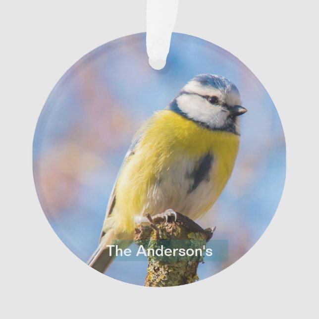 Custom Cute Blue Yellow Bird Photo Personalized Ornament (Front)
