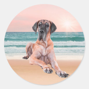 Custom Cute Great Dane Dog Sitting on Beach Classic Round Sticker