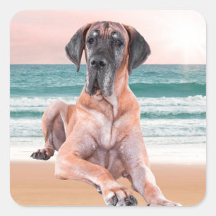 Custom Cute Great Dane Dog Sitting on Beach Square Sticker