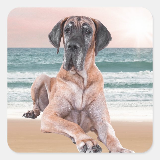 Custom Cute Great Dane Dog Sitting on Beach Square Sticker (Front)