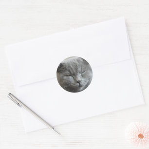 Custom Cute Grey  kitty Cat Photo Classic Round Sticker
